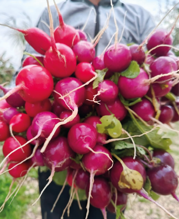 Farm-Visit-09