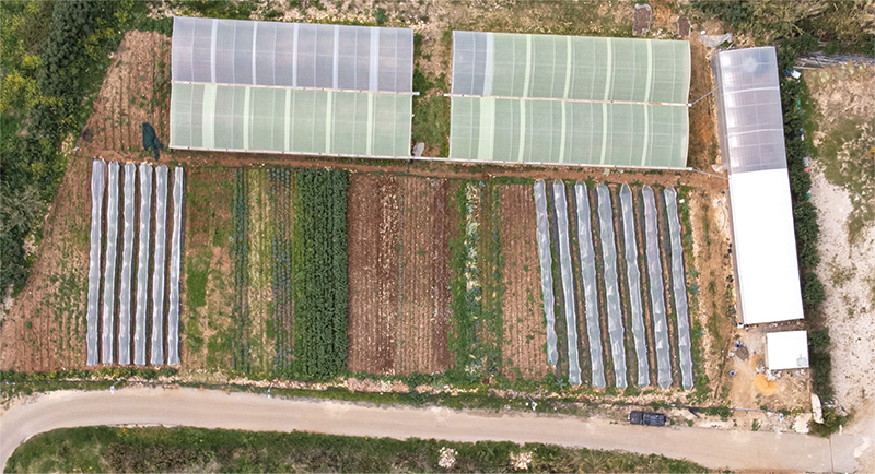 VC-find-us--farms-03